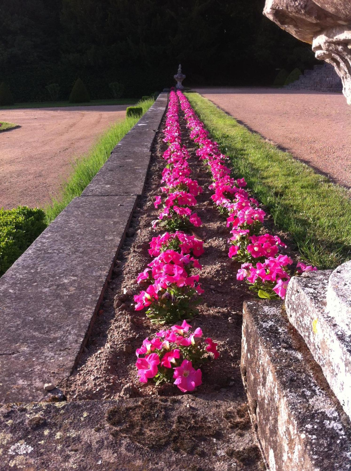 Chateau De Busset Esterno foto